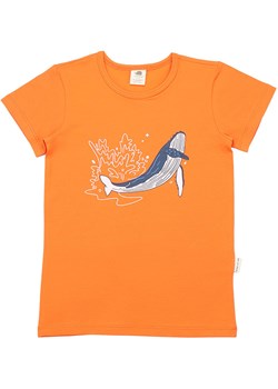 Walkiddy Koszulka w kolorze pomarańczowym ze sklepu Limango Polska w kategorii T-shirty chłopięce - zdjęcie 183920529