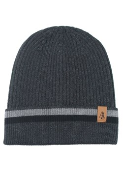 Jesienno-Zimowa Czapka (beanie) – Alties - Kolor Grafitowy, Pasek CPAALTSbeanie11grafPASpop ze sklepu JegoSzafa.pl w kategorii Czapki zimowe męskie - zdjęcie 183923586