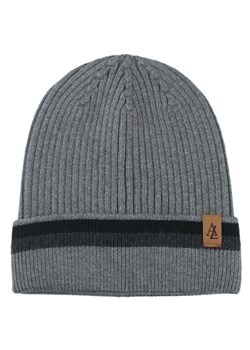 Jesienno-Zimowa Czapka (beanie) – Alties - Kolor Stalowy CPAALTSbeanie10POPpasCZA ze sklepu JegoSzafa.pl w kategorii Czapki zimowe męskie - zdjęcie 183923588