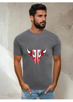 T-shirt męski grafitowy Dstreet RX4931 ze sklepu DSTREET.PL w kategorii T-shirty męskie - zdjęcie 184037125