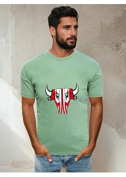 T-shirt męski jasnozielony Dstreet RX4930 ze sklepu DSTREET.PL w kategorii T-shirty męskie - zdjęcie 184037168