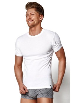 Biały t-shirt męski 1495-J1, Kolor biały, Rozmiar S, Henderson ze sklepu Primodo w kategorii T-shirty męskie - zdjęcie 184072149