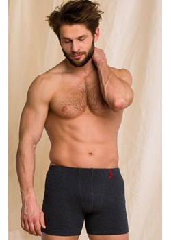 Key Hot touch bokserki męskie szare MXM 155 SZ, Kolor szary, Rozmiar L, Key ze sklepu Primodo w kategorii Majtki męskie - zdjęcie 184076729