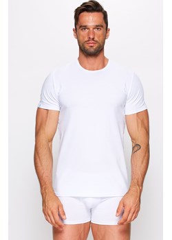 Koszulka męska t-shirt z krótkim rękawem biały 01/9-82/2, Kolor biały, Rozmiar L, Fabio Undercare ze sklepu Intymna w kategorii Podkoszulki męskie - zdjęcie 184122615