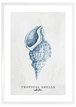 Ars Longa Druk artystyczny &quot;Tropical shell collection no. 1&quot; w ramce - 70 x 50 cm ze sklepu Limango Polska w kategorii Obrazy - zdjęcie 184166225