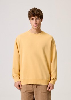 Bluza  męska o luźnym kroju ze sklepu Diverse w kategorii Bluzy męskie - zdjęcie 184171258
