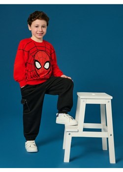 Sinsay - Bluza Spider-Man - czerwony ze sklepu Sinsay w kategorii Bluzy chłopięce - zdjęcie 184184158