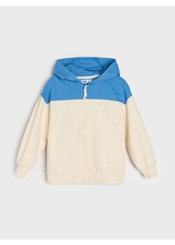 Sinsay - Bluza z kapturem - wielobarwny ze sklepu Sinsay w kategorii Bluzy chłopięce - zdjęcie 184190639