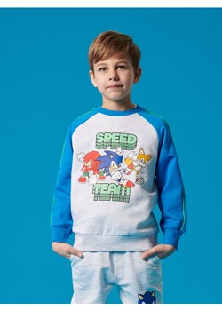 Sinsay - Bluza z nadrukiem Sonic the Hedgehog - mid blue ze sklepu Sinsay w kategorii Bluzy chłopięce - zdjęcie 184190906