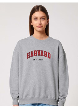 American Universities Bluza &quot;Harvard University&quot; w kolorze szarym ze sklepu Limango Polska w kategorii Bluzy damskie - zdjęcie 184217295