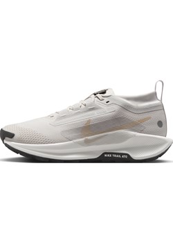 Damskie wodoszczelne buty do biegania w terenie Nike Pegasus Trail 5 GORE-TEX - Szary ze sklepu Nike poland w kategorii Buty sportowe damskie - zdjęcie 184264197