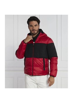 EA7 Puchowa kurtka | Regular Fit ze sklepu Gomez Fashion Store w kategorii Kurtki męskie - zdjęcie 184324659