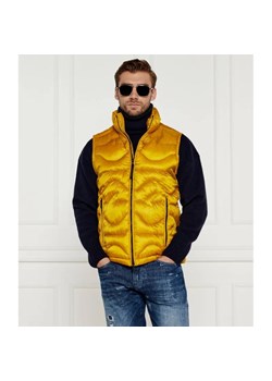 Paul&Shark Bezrękawnik | Regular Fit ze sklepu Gomez Fashion Store w kategorii Kamizelki męskie - zdjęcie 184325157