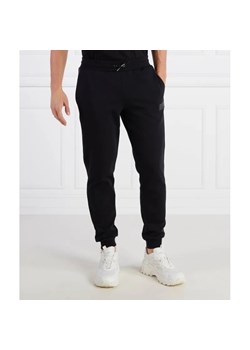EA7 Spodnie dresowe | Regular Fit ze sklepu Gomez Fashion Store w kategorii Spodnie męskie - zdjęcie 184518618
