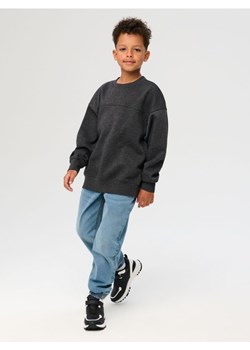 Sinsay - Bluza - szary ze sklepu Sinsay w kategorii Bluzy chłopięce - zdjęcie 184548377