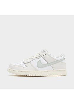 NIKE DUNK LOW BG ze sklepu JD Sports  w kategorii Buty sportowe damskie - zdjęcie 184630385