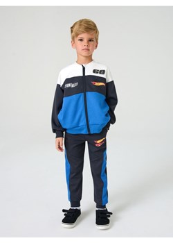 Sinsay - Spodnie dresowe Hot Wheels - szary ze sklepu Sinsay w kategorii Spodnie chłopięce - zdjęcie 184680175