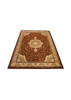 Brązowy klasyczny dywan N9-F61 ze sklepu Edinos.pl w kategorii Dywany - zdjęcie 184740936