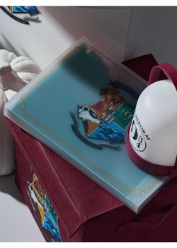 Sinsay - Organizer na dokumenty z przekładkami Harry Potter - wielobarwny ze sklepu Sinsay w kategorii Zabawki - zdjęcie 184744278