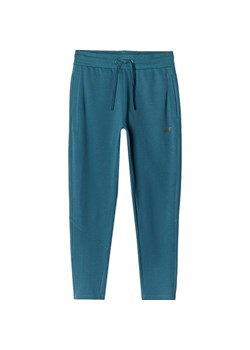 Spodnie dresowe męskie TTROM0784 4F ze sklepu SPORT-SHOP.pl w kategorii Spodnie męskie - zdjęcie 184747249