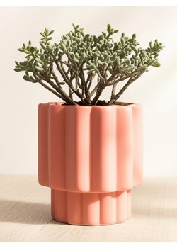Sinsay - Ceramiczna doniczka - bordowy ze sklepu Sinsay w kategorii Doniczki i osłonki - zdjęcie 184760018