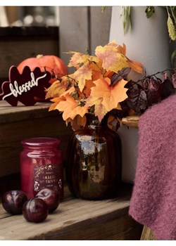 Sinsay - Roślina ozdobna z motywem jesiennym - pomarańczowy - id: 919FV-22X - marki Sinsay - 184778788 Sinsay - Roślina ozdobna z motywem jesiennym - pomarańczowy ze sklepu Sinsay w kategorii Dekoracje - zdjęcie 184778788