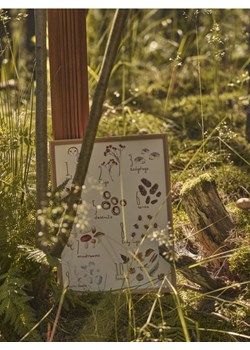 Sinsay - Plakat na płótnie w ramce z motywem jesiennym - beżowy ze sklepu Sinsay w kategorii Plakaty - zdjęcie 184792977