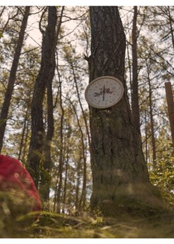 Sinsay - Okrągły zegar ścienny z nadrukiem zwierząt leśnych - wielobarwny ze sklepu Sinsay w kategorii Pokój dziecięcy - zdjęcie 184815039