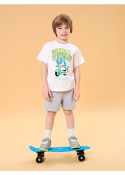 Sinsay - Koszulka z nadrukiem - biały ze sklepu Sinsay w kategorii T-shirty chłopięce - zdjęcie 184903979