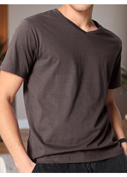 Sinsay - Koszulka - brązowy ze sklepu Sinsay w kategorii T-shirty męskie - zdjęcie 184904066