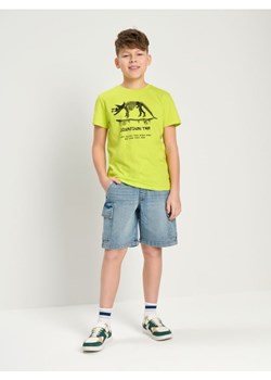 Sinsay - Koszulka - zielony - id: 141AP-71X - marki Sinsay - 184904148 Sinsay - Koszulka - zielony ze sklepu Sinsay w kategorii T-shirty chłopięce - zdjęcie 184904148