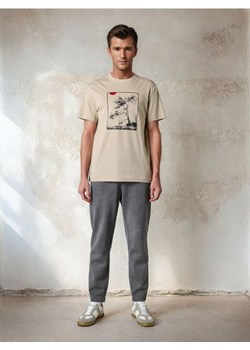 Sinsay - Koszulka - Inny ze sklepu Sinsay w kategorii T-shirty męskie - zdjęcie 184904648