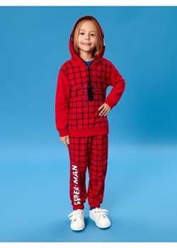 Sinsay - Komplet dzianinowy Spider-Man - czerwony ze sklepu Sinsay w kategorii Dresy dziewczęce - zdjęcie 184904806