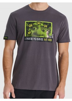 Sinsay - Koszulka Shrek - szary ze sklepu Sinsay w kategorii T-shirty męskie - zdjęcie 184905027