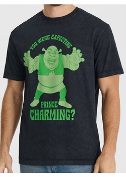 Sinsay - Koszulka Shrek - czarny ze sklepu Sinsay w kategorii T-shirty męskie - zdjęcie 184905028