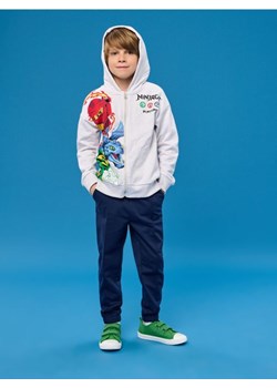 Sinsay - Bluza Ninjago - szary - id: 792CG-09M - marki Sinsay - 184905126 Sinsay - Bluza Ninjago - szary ze sklepu Sinsay w kategorii Bluzy chłopięce - zdjęcie 184905126