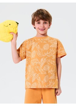 Sinsay - Koszulka we wzór roślinny - pomarańczowy ze sklepu Sinsay w kategorii T-shirty chłopięce - zdjęcie 184915207