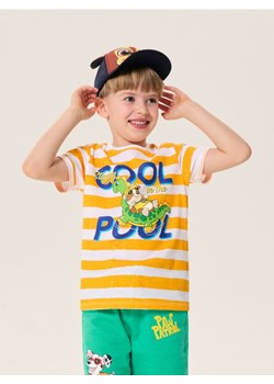 Sinsay - Koszulka w paski z kolorowym nadrukiem PAW Patrol - biały ze sklepu Sinsay w kategorii T-shirty chłopięce - zdjęcie 184916088