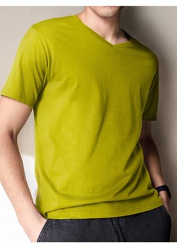 Sinsay - Koszulka - zielony ze sklepu Sinsay w kategorii T-shirty męskie - zdjęcie 184934257
