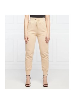 Iceberg Spodnie dresowe | Regular Fit ze sklepu Gomez Fashion Store w kategorii Spodnie damskie - zdjęcie 184947388