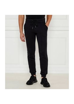 Iceberg Spodnie dresowe | Regular Fit ze sklepu Gomez Fashion Store w kategorii Spodnie męskie - zdjęcie 185008175