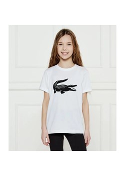 Lacoste T-shirt | Regular Fit ze sklepu Gomez Fashion Store w kategorii Bluzki dziewczęce - zdjęcie 185015035