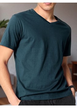 Sinsay - Koszulka - niebieski ze sklepu Sinsay w kategorii T-shirty męskie - zdjęcie 185019488