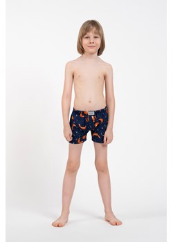 Witalis bokserki chłopięce ze sklepu italianfashion w kategorii Majtki dziecięce - zdjęcie 185055365