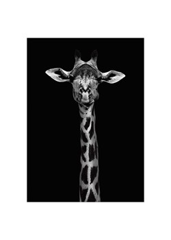 Poster &amp; Frame Druk artystyczny &quot;Giraffe portrait&quot; ze sklepu Limango Polska w kategorii Obrazy - zdjęcie 185135566