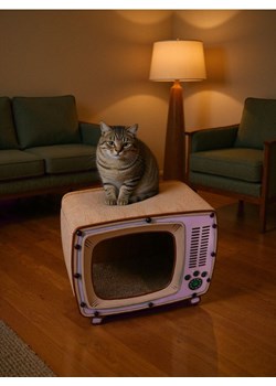 Sinsay - Drapak dla kota w kształcie telewizora DIY - różowy ze sklepu Sinsay w kategorii Dla zwierząt - zdjęcie 185356566