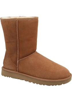 UGG Skórzane śniegowce W Classic Short II | z dodatkiem wełny ze sklepu Gomez Fashion Store w kategorii Śniegowce damskie - zdjęcie 185379166