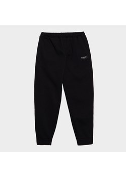 MCKENZIE SPODNIE ROCCO FLC PNT ze sklepu JD Sports  w kategorii Spodnie męskie - zdjęcie 185389227