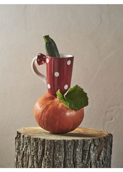 Sinsay - Kubek ceramiczny z motywem muchomora - wielobarwny ze sklepu Sinsay w kategorii Dom - zdjęcie 185409885