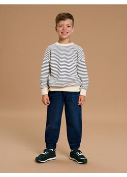 Sinsay - Bluza w paski - wielobarwny ze sklepu Sinsay w kategorii Bluzy chłopięce - zdjęcie 185486478